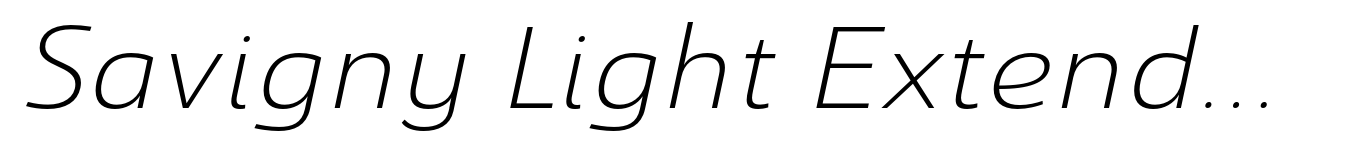 Savigny Light Extended Italic